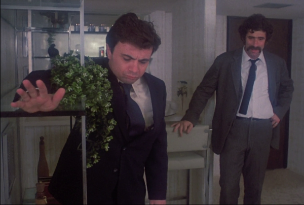 Les casseurs de gang,  Busting, Peter Hyams, 1974
