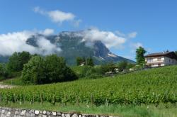 Lundi en une deux trois (Ou plus ... ) photos