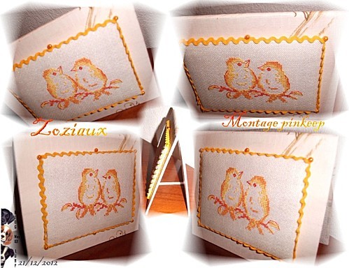 2012 12 21 zoziaux pinkeep (02)