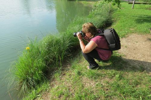 Le Club-Photo en balade au plan d'eau de Riel-les-Eaux...