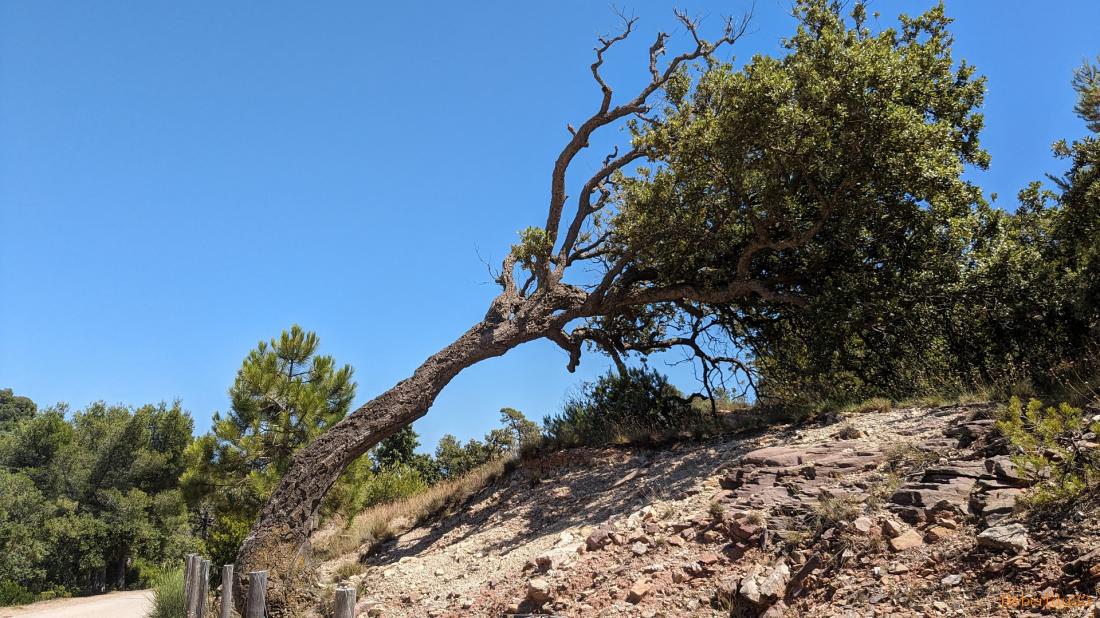 Le Pradet dans le Var - 2