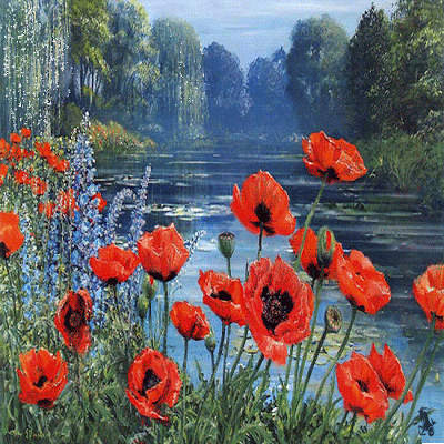 GIFS Coquelicots