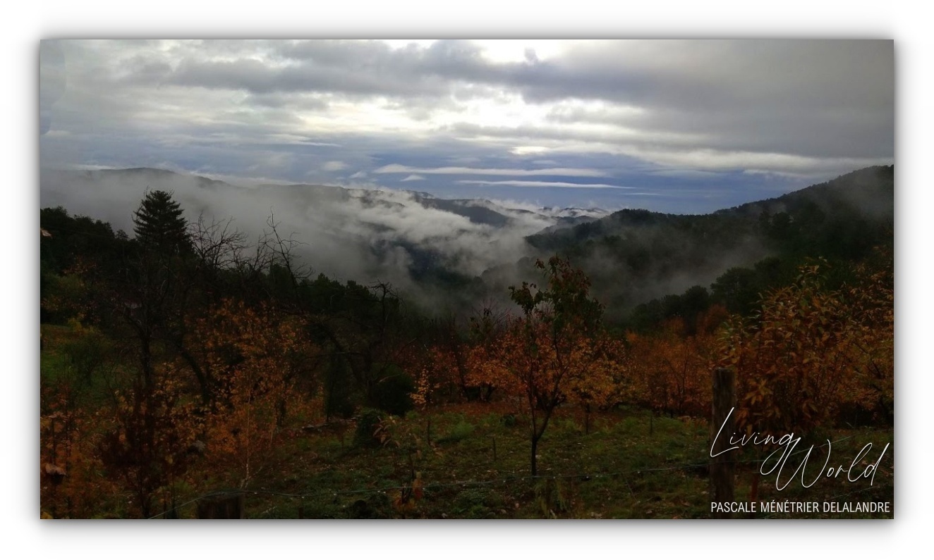 Les Cévennes, terre des Huguenots et des Maquisards.