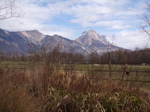 Signes du printemps !!! 