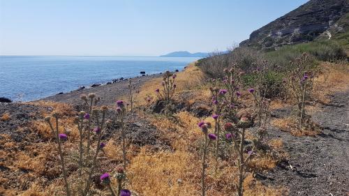 NISYROS, la route du Sud de l'île !