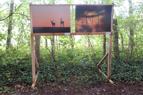 Une exposition de photographies aux Villas du Parc à Vanvey