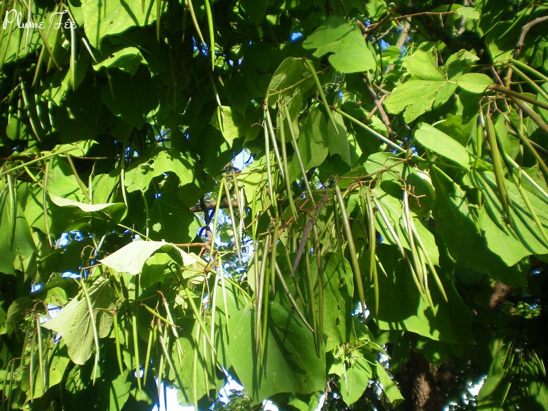 Image007.jpg