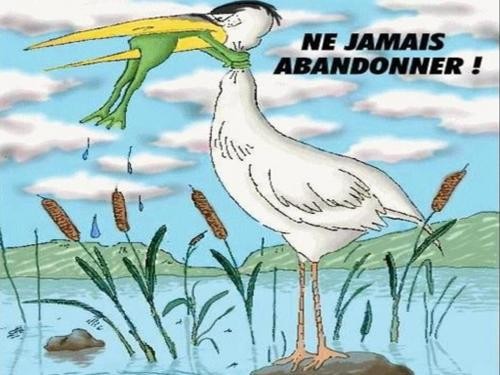 Ne jamais abandonner