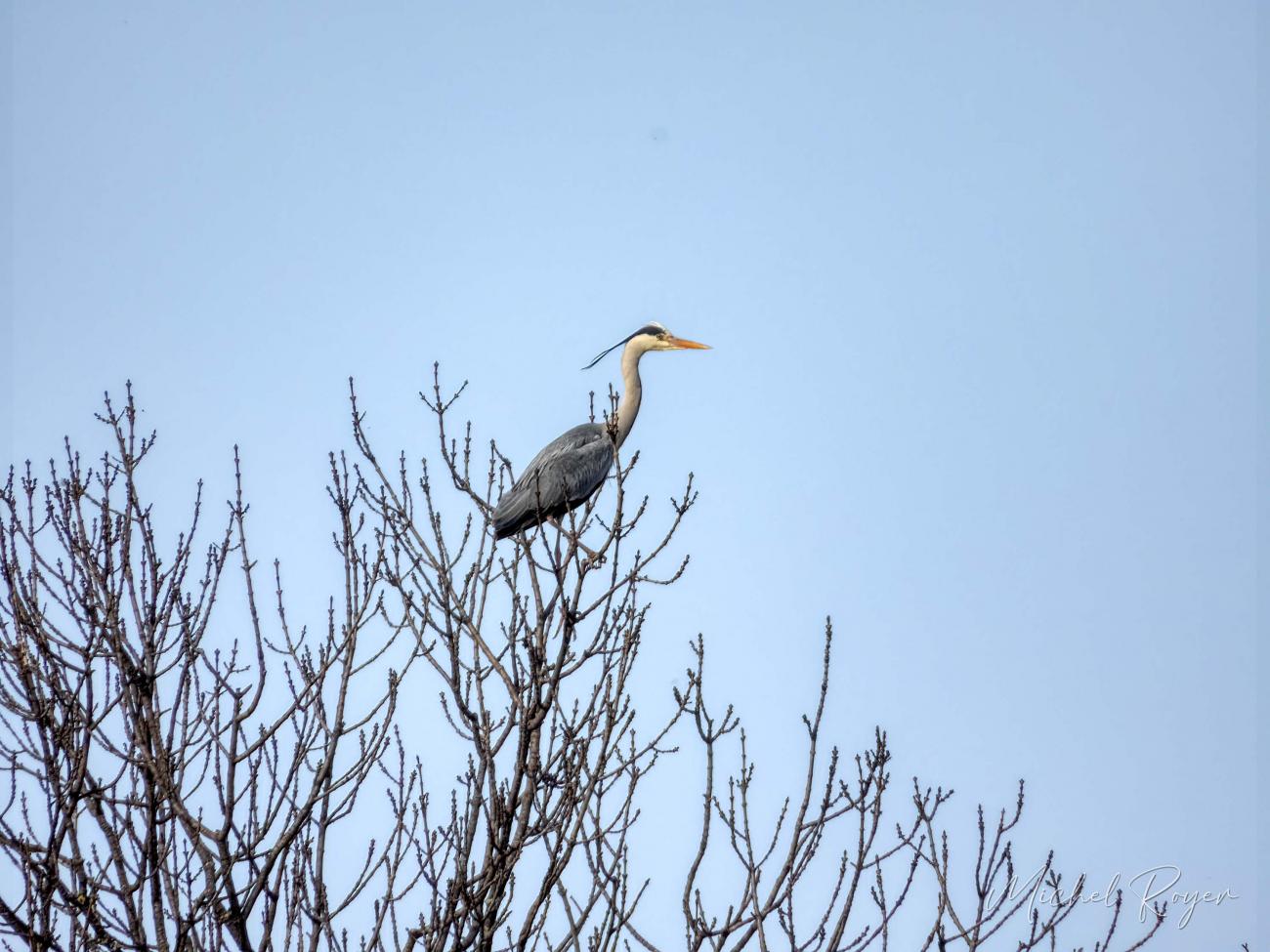 A l'écopôle du Val d'Allier en ce mois de mars 2023