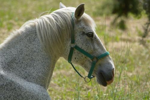 Randonnée "Au fil de l'eau" à NERS