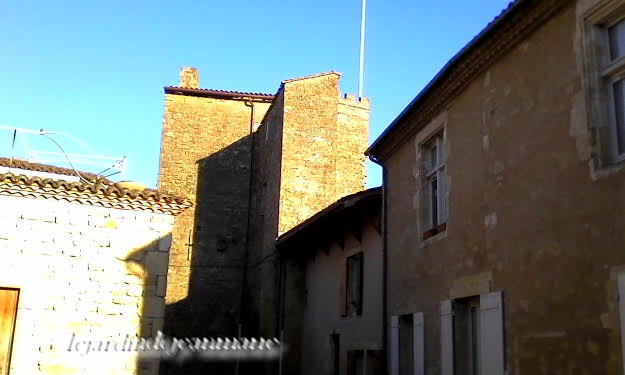 'Saint-Macaire est une commune du Sud-Ouest de la France, située dans le département de la Gironde.... de la ville à travers son patrimoine historique et la réhabilitation de ses quartiers médiévaux