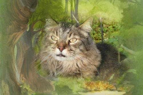 Les hommages pour Eowin et Colibri