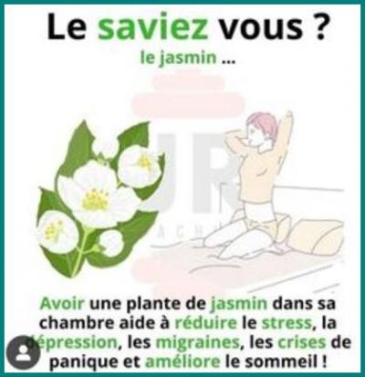 SAVIEZ VOUS ?