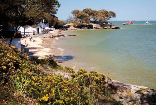 Ile de Noirmoutier  ( Vendée )