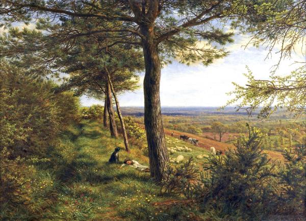 James Thomas Linnell