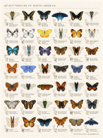 J416A-Q9Gg6e7ksi1ZWRexUyzQE.gif (1080×1440)