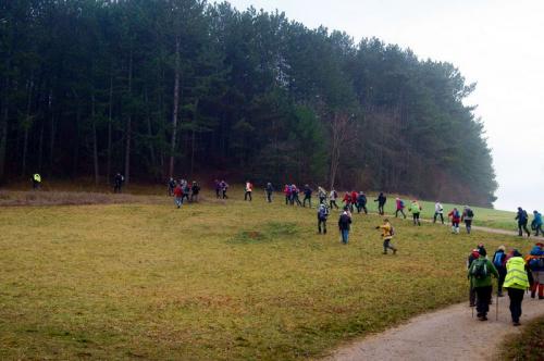 "Combe à La Serpent" - Mercredi 27 janvier 2016