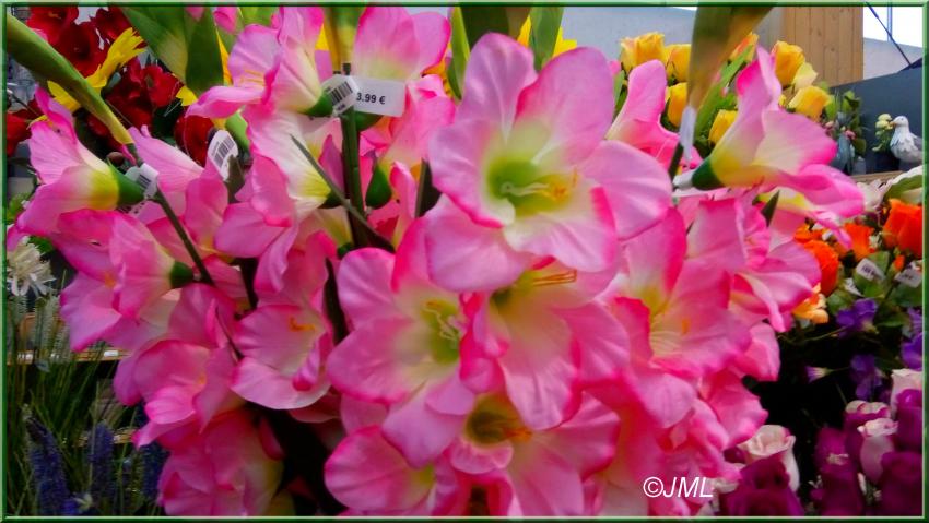 Des photos de plantes prises dans les jardineries(suite)