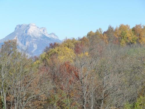 Lundi en une deux trois quatre (ou plus ) photos 