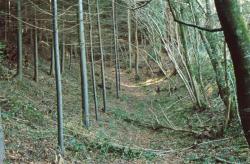 LES REMPARTS D'AUNAY-SUR-ODON (Calvados)