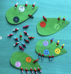 Les coccinelles et les feuilles