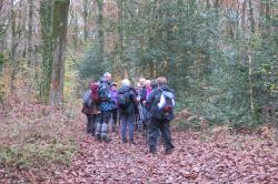 La randonnée du 17 novembre à Hermival-les-Vaux