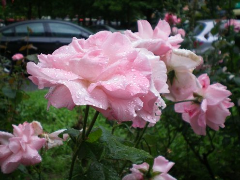 Image20