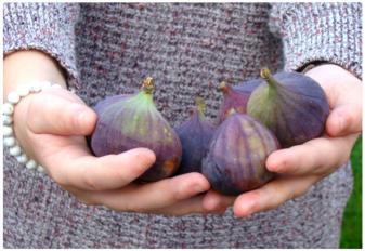 TARTE AUX FIGUES ET À LA PISTACHE