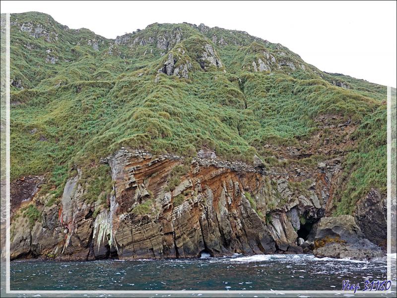 Quand la nature fait dans l'abstrait  : c'est un peu moins beau que les falaises et les grottes précédentes, mais c'est quand même très beau ! - Nightingale Island - Tristan da Cunha