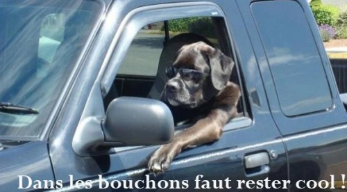 Enfin !
