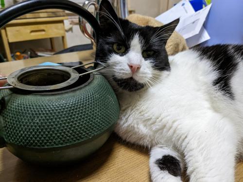 Motivation, vous avez dit motivation?