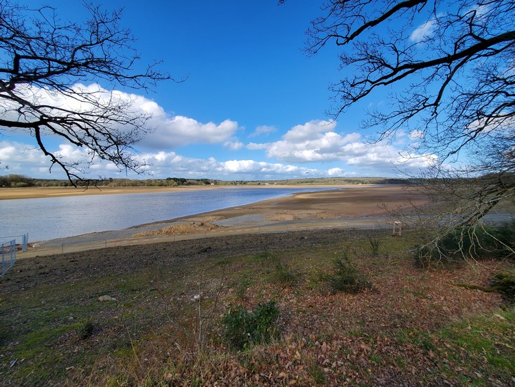 Depuis la Romeraye