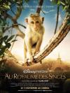 Mes Avis films