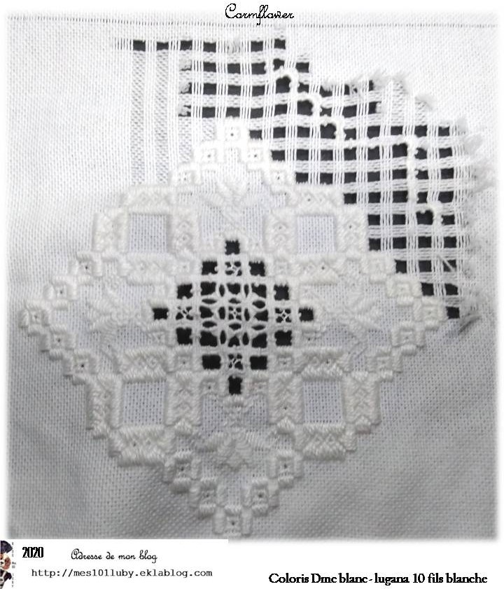 Cormflower "blanc" (3)