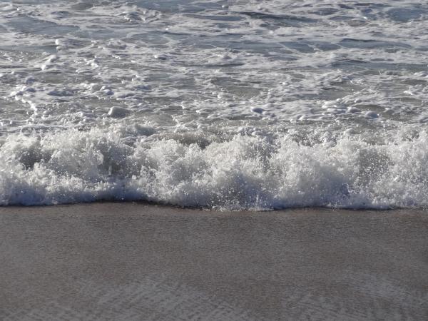 Les vagues de la mer