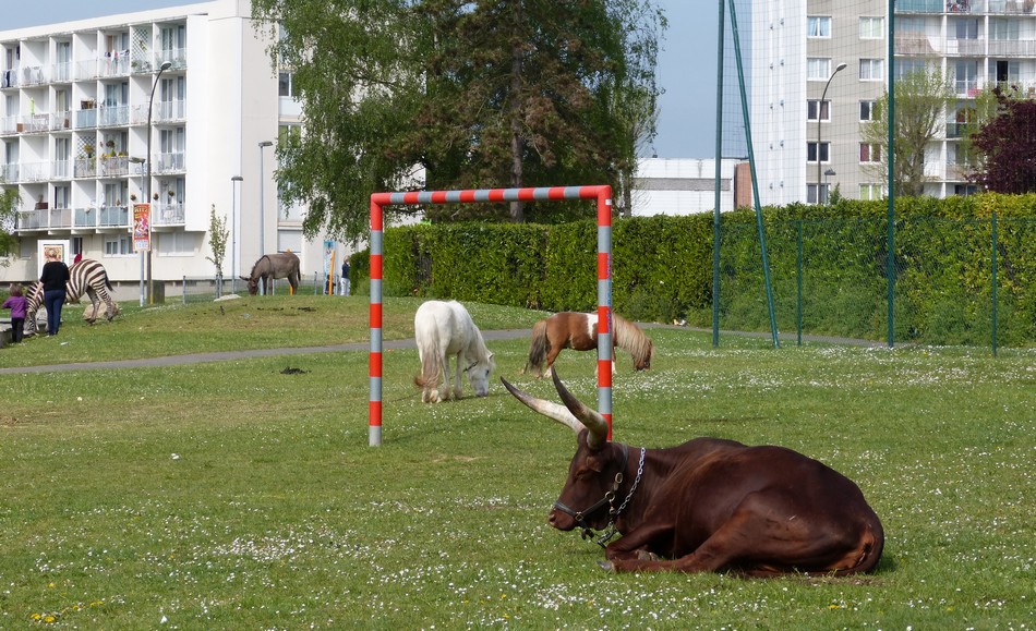 Animation dans mon quartier
