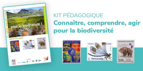 Kit Adphile 2019 / 2020