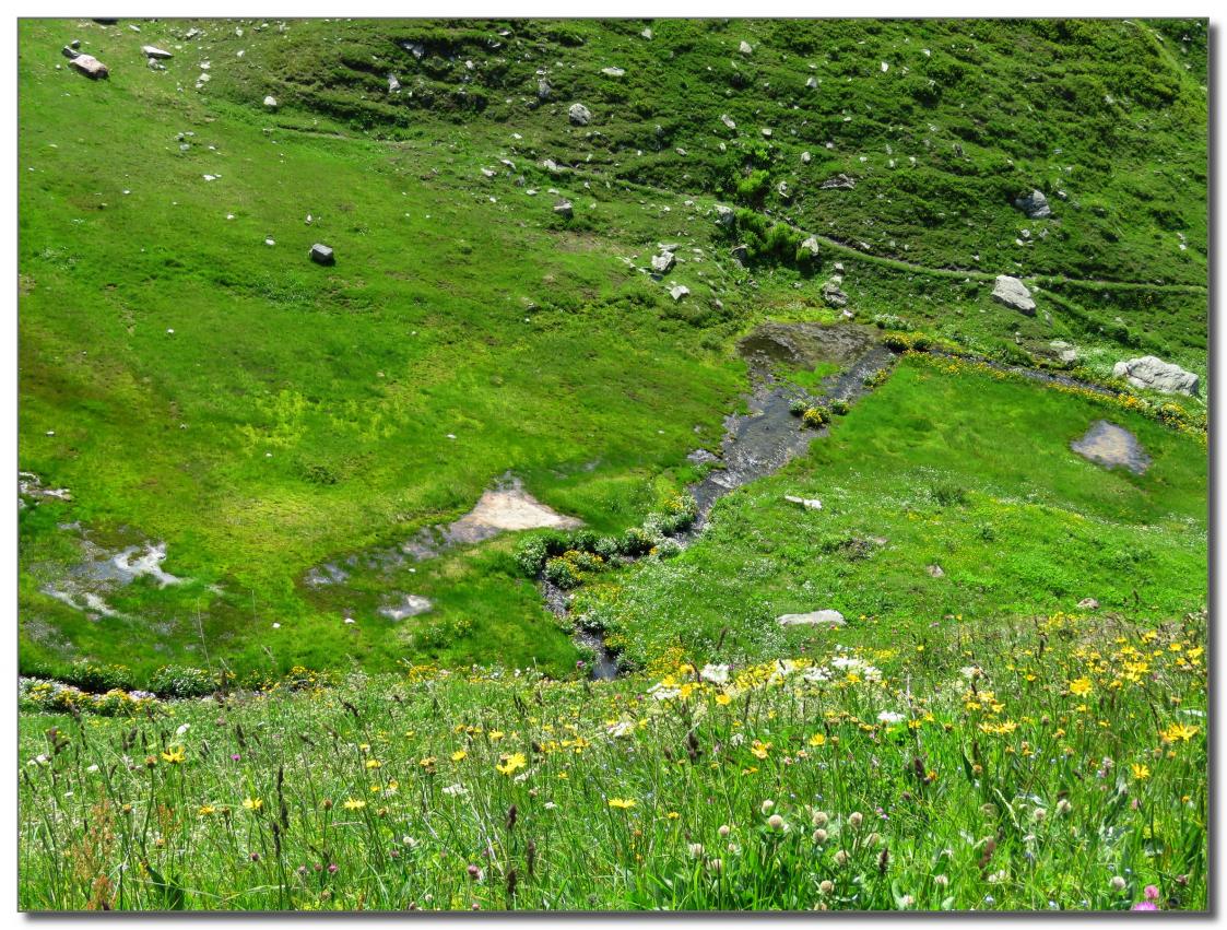 LE  COL  DU  PETIT  ST BERNARD   SUITE 