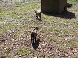  * Au Domaine de Bourgogne