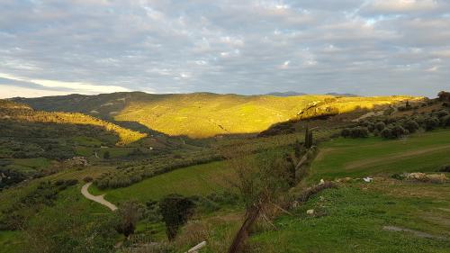 Le monastère de PALIANI