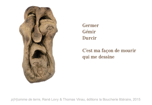 Des patates dans la malle...