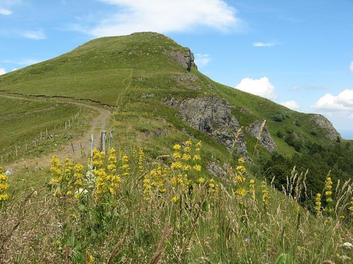 Département du Cantal