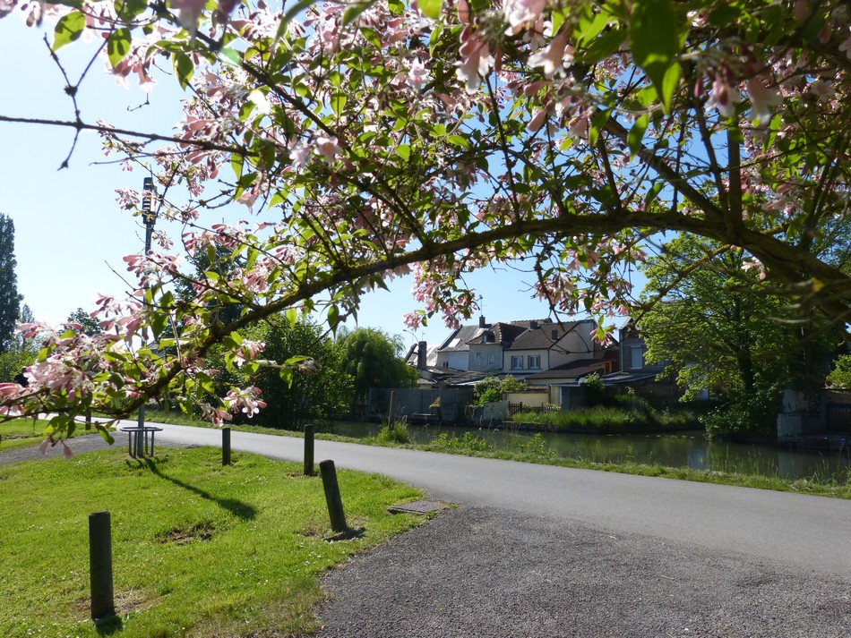 Sur le chemin de halade