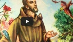 Vidéo - Dubois - Liszt,  "Saint François d'Assise, La Prédication aux oiseaux" de Franz Liszt