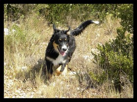 Blog ouvert le jour de la naissance de ma boule d'amour