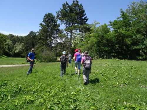 "Baladouce d'été" - Mardi 09 juillet 2024