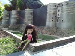 Les résultats du concours "châteaux de la Loire"