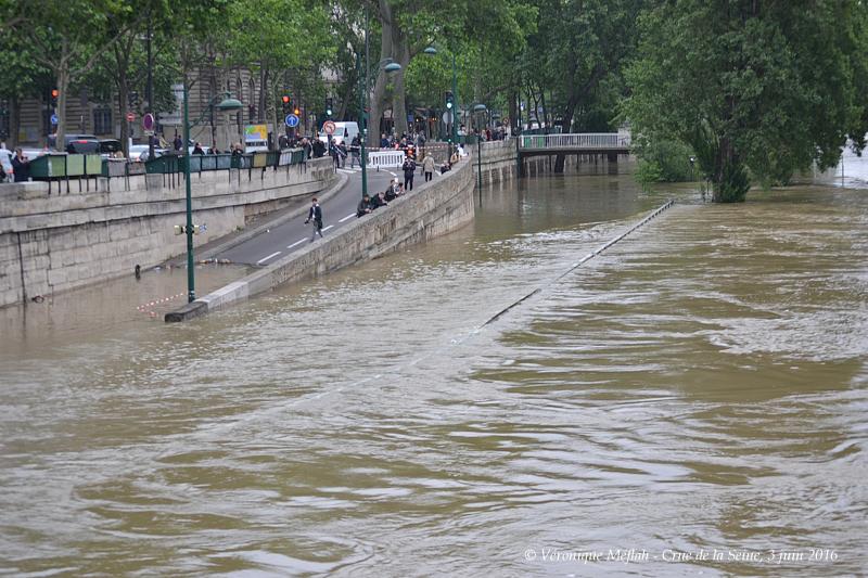 Crue de la Seine, 3 juin 2016 : Le Square du Vert Galant