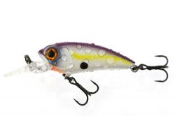 LE BOTTOM BOUCER de chez USAMI