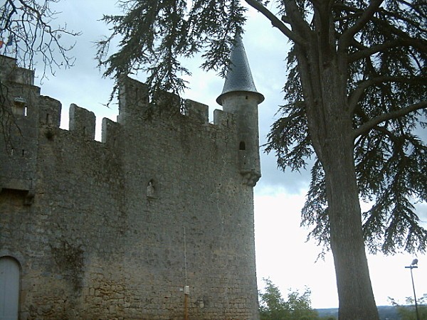a-Sainte-Coix-du-Mont-chateau2.jpg